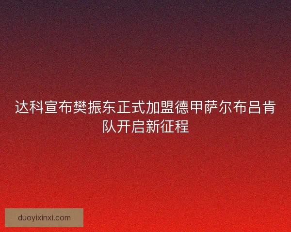 达科宣布樊振东正式加盟德甲萨尔布吕肯队开启新征程