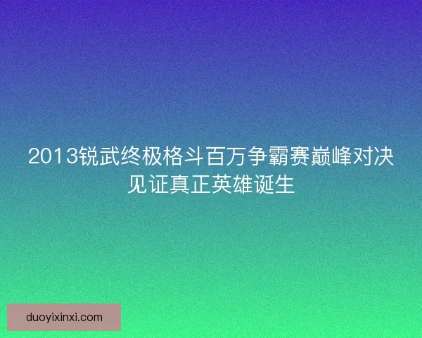 2013锐武终极格斗百万争霸赛巅峰对决见证真正英雄诞生 2013锐武终极格斗百万争霸赛巅峰对决见证真正英雄诞生