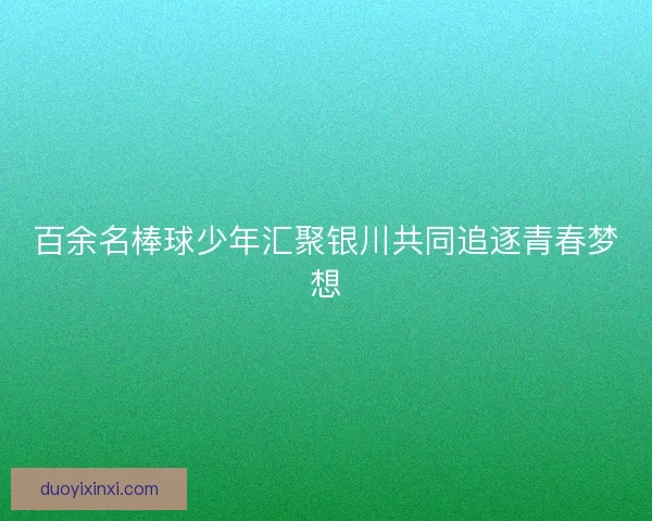 百余名棒球少年汇聚银川共同追逐青春梦想 百余名棒球少年汇聚银川共同追逐青春梦想