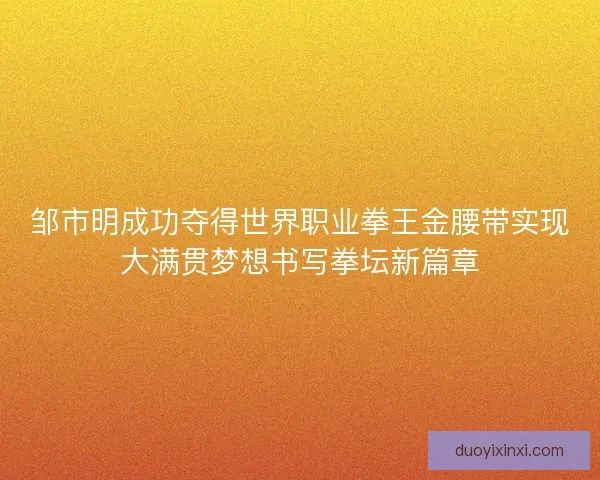 邹市明成功夺得世界职业拳王金腰带实现大满贯梦想书写拳坛新篇章